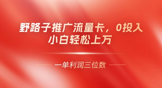 0门槛推广流量卡，一单收益上百，0投入，小白月入过W-要创业网