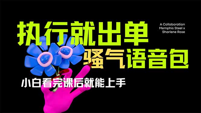 （14170期）爆火全网的开车导航骚气语音包,只要执行就出单，小白看完课程就能实操...-要创业网